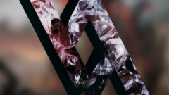 Vas'avi
