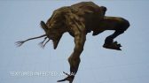 jackal_flood_form